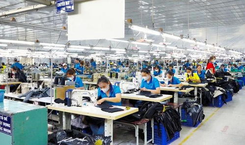 東莞電子廠外遷越南，工人失業(yè)困境與網(wǎng)絡(luò)技術(shù)服務(wù)解決方案